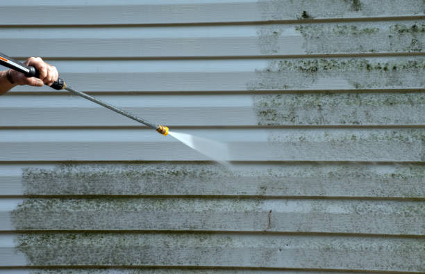 Best Affordable Pressure Washing  in Woodworth, LA